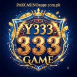 Y333 Game