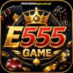 E555 Game Logo